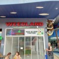 /album/photogallery/weedland-jpg1/